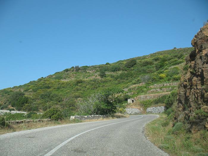 Naxos Tours