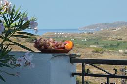 Hotel Naxos Filoxenia