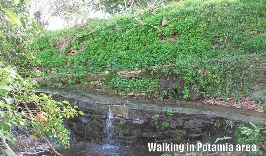 Walking in Potamia area